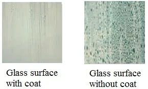 With Without Coat